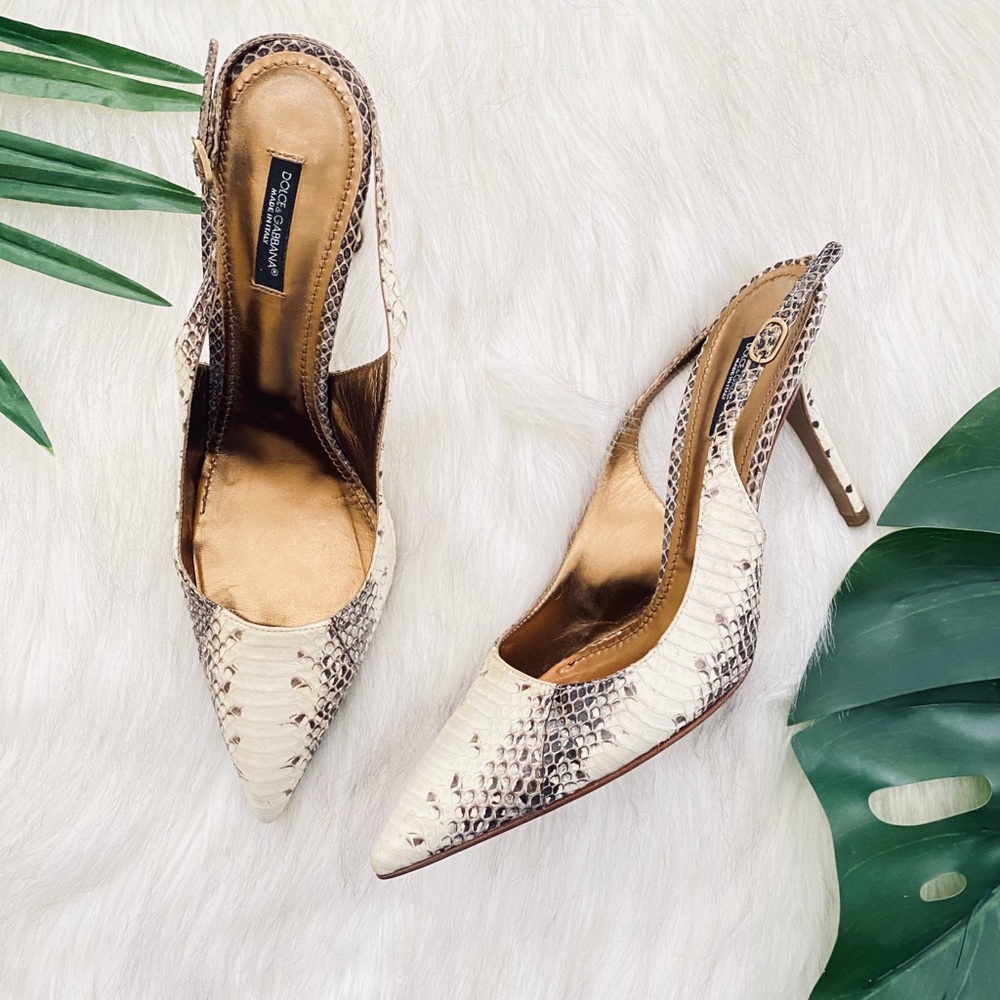 Dolce and Gabbana Snakeskin slingbacks